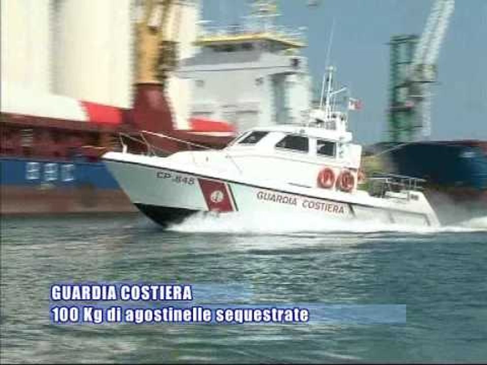 BARLETTA. 100 Kg di agostinelle sequestrate dalla guardia costiera
