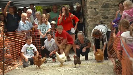 هذا الصباح-مسابقة للدجاج ببلدة بونسول ببريطانيا