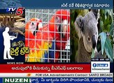 Illegal Wildlife Trade | Centre Plans to Curb Online Sale of Rare Animals | TV5 News