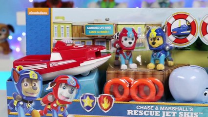 PAW PATROL Chase and Marshall Use Their Rescue Jet Skis to Save Disney Finding Dory Friends!-oeF6I9vkkKg
