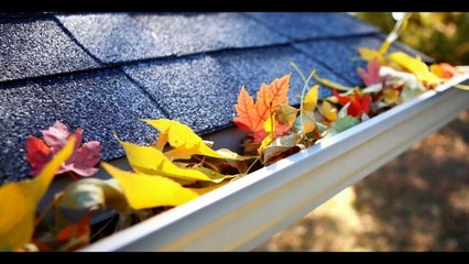 Αποφραξεις πευκη – 2102850015 – Apofrakseis peukh