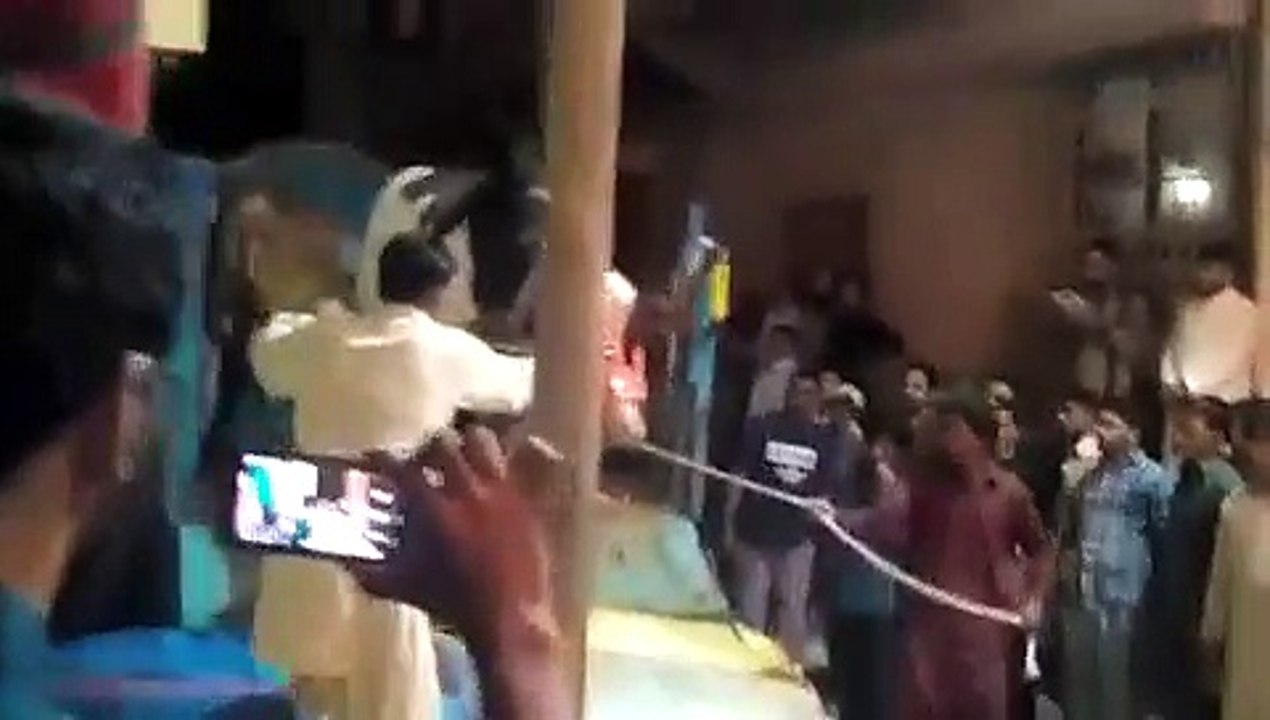 Beautiful Dilpasand Bull Unloading - Cow Mandi 2017 - Eid ul Azha 2017