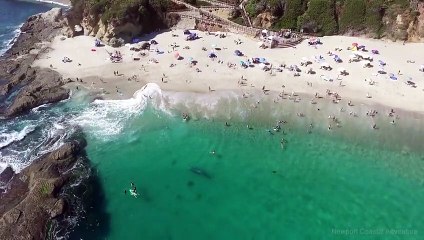 ENORME BALLENA NADA ENTRE BAÑISTAS SIN QUE ESTOS SE DEN CUENTA