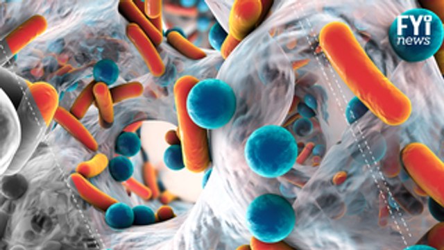 The List of Bacteria Multi-resistant To Antibiotics