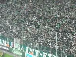 tribunes asse aja