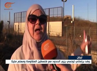 الوفد البرلماني التونسي