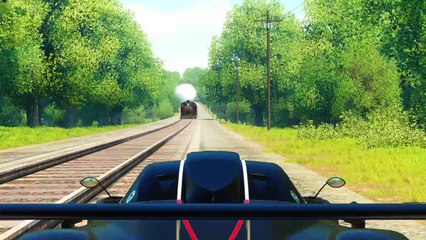 Live Railroad Crossing.