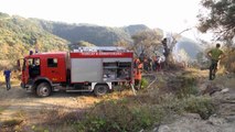 Zjarret, shfaqen 8 vatra të reja Zjarret - Top Channel Albania - News - Lajme