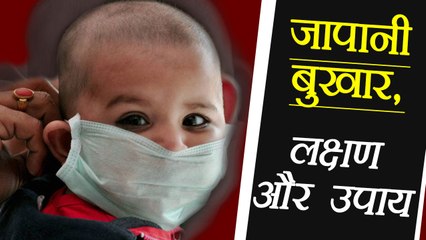 जापानी बुखार Encephalitis Fever जाने क्या है लक्षण और इस बीमारी के उपाय  | Boldsky