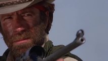 Chuck Norris Fall Sniper