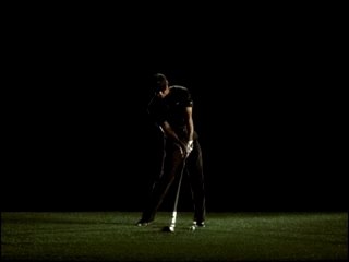 Tiger Woods swing portrait