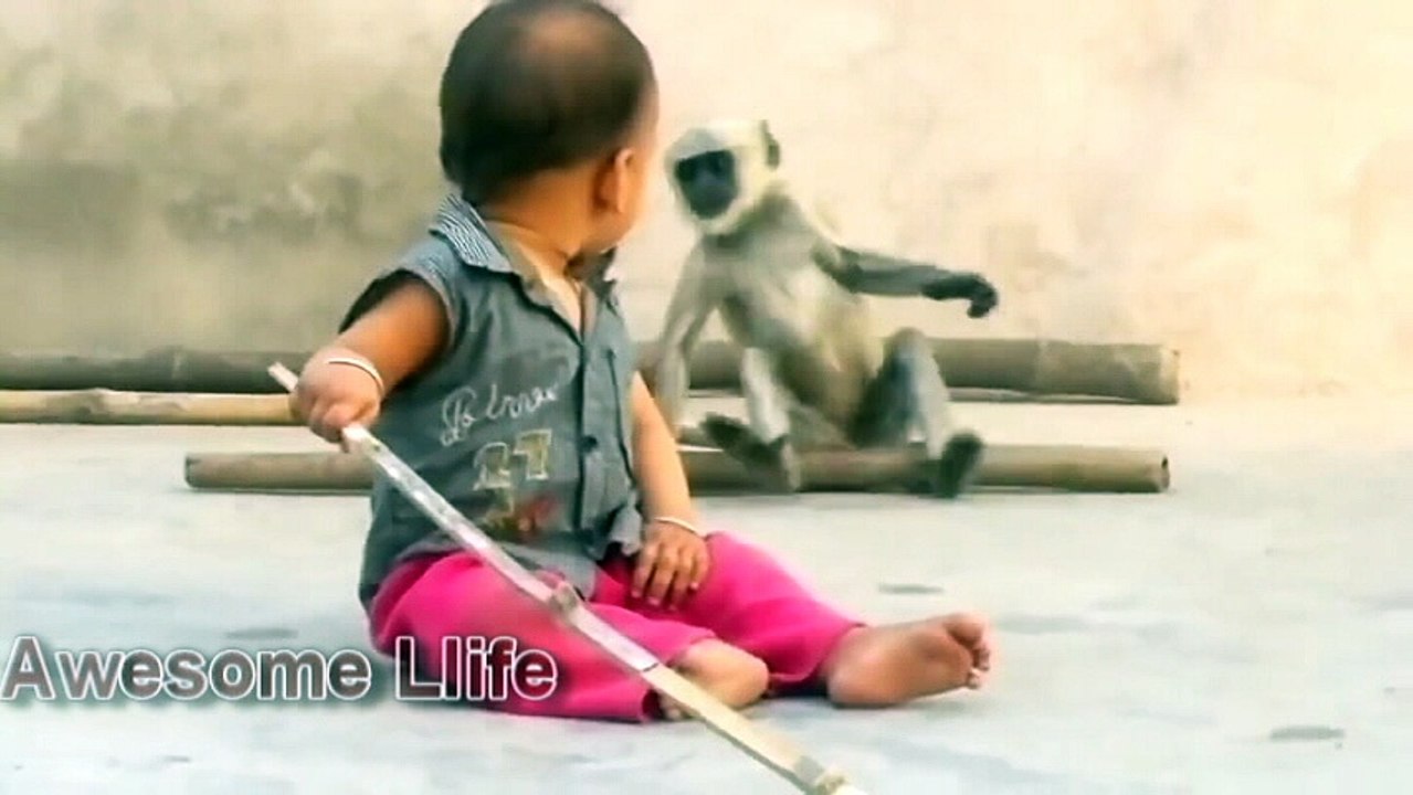 cut Monkey And Adorable Babies: Compilation