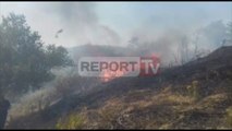 Report TV - Situata e zjarreve, gjatë 24 orëve 8 vatra në të gjithë vendin