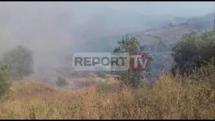 Report TV - Fier, zjarr në fshatin Kreshpan, era pengon ndërhyrjen e zjarrfikësve