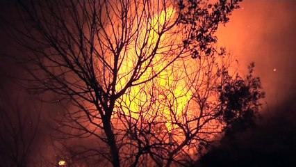 France: Firefighters continue to tackle fires in Corsica