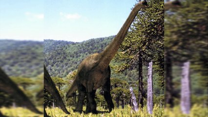 Real Dinosaur Caught On Camera_ + 5 Real Mermaids Caught On Tape