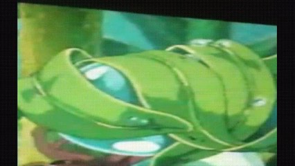 Watch Mizugumo Monmon English Subbed English Subbed in HD on 9anime to Watch Animation Onl