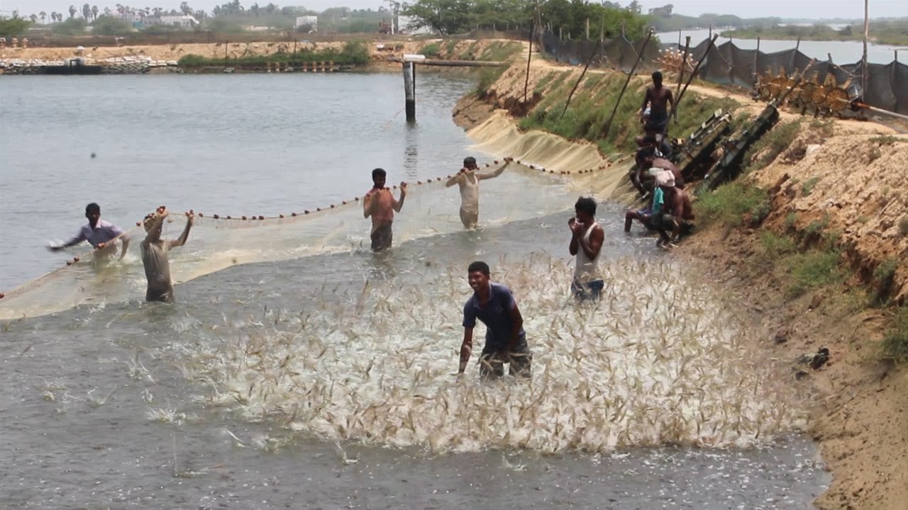 PESCA ARTESANAL EN ASIA