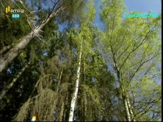 toda verdade - Resgatar Chernobyl