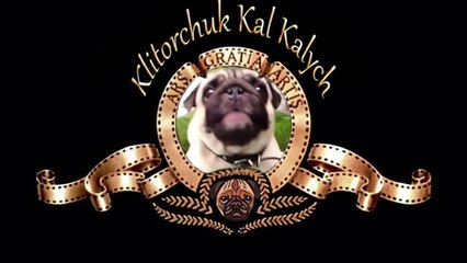 День, вечер и утро успешного блогера Сергея Новика или Мопс стреляет с СВД