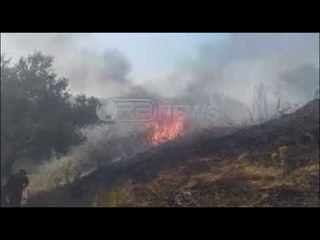 Lufta me flakët - Zjarret, VIVA operacion në Vorë, Krujë, Gjirokastër dhe Malësi të Madhe