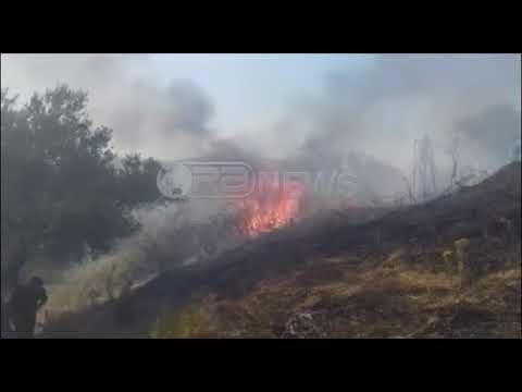 Lufta me flakët - Zjarret, VIVA operacion në Vorë, Krujë, Gjirokastër dhe Malësi të Madhe