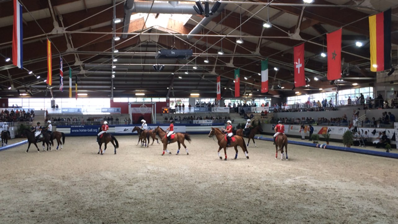 Championnat d'Europe de horse ball, Italie vs G...