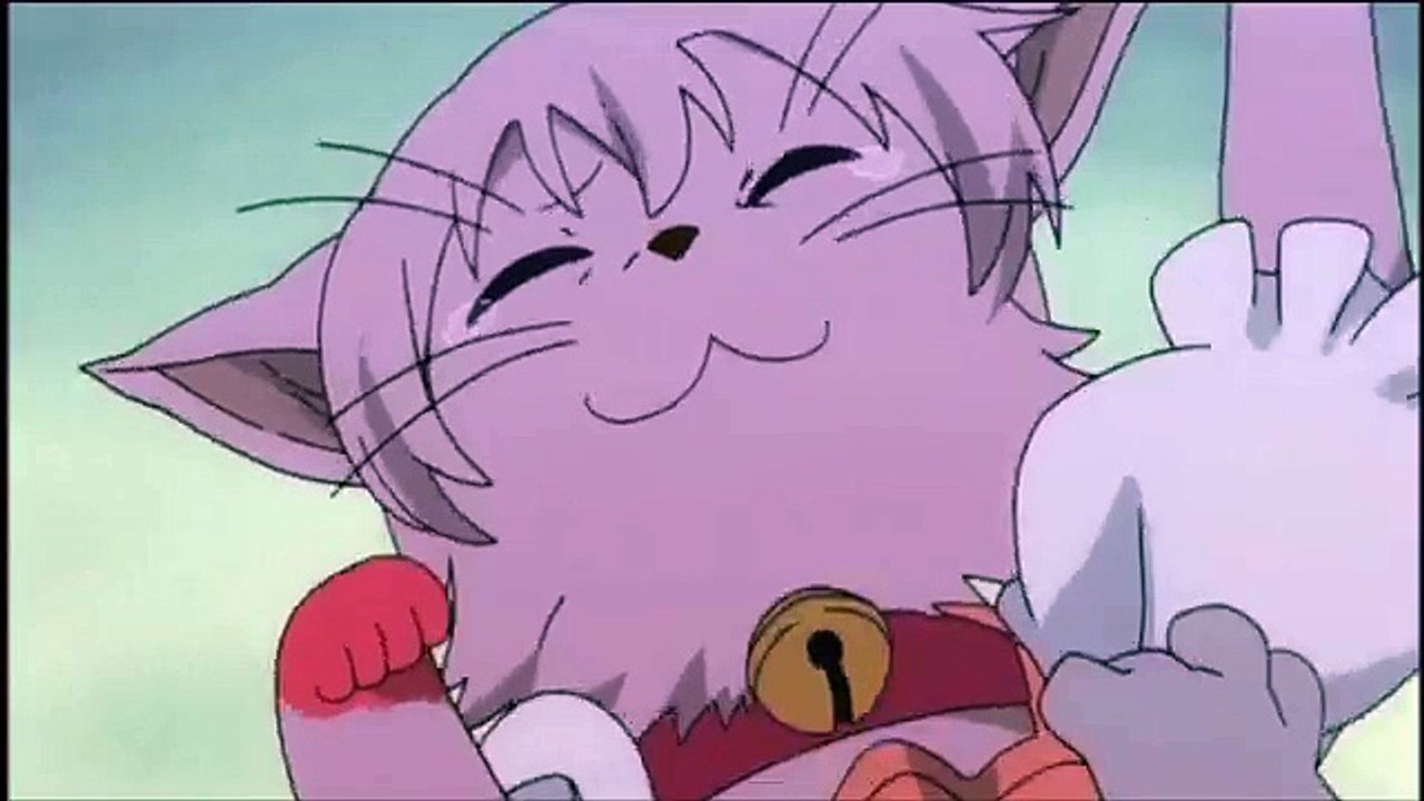 Kamichu Cat Fight