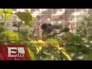 Hallan cadáver de mujer en Río de los Remedios, Naucalpan / Desde la redacción