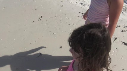 Passeando e se Divertindo  na  Praia