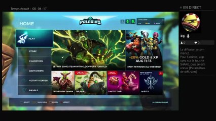 Délire Ultime paladin de REDKI (10)