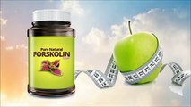 Forskolin Extract Should You Add This To Your Daily Weight Loss Dietary Supplement Regime