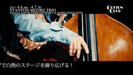 STANTON MOORE JAZZ TRIO : COTTON CLUB JAPAN 2017