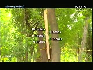 Myanmar TV   Htan taw Drums Part 1