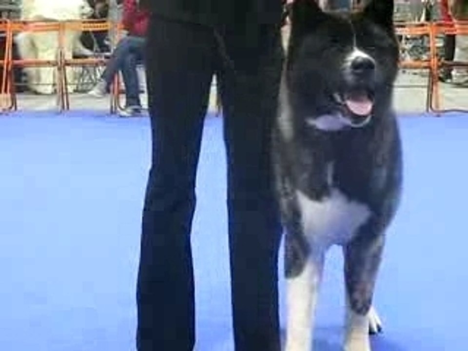 Présentation de Baloo