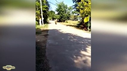 FAILS Compilation __ December 2016 __ MonthlyFails funny