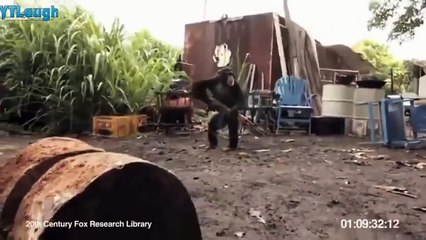 Funny videos 2016 _ Stupid people doing stupid things