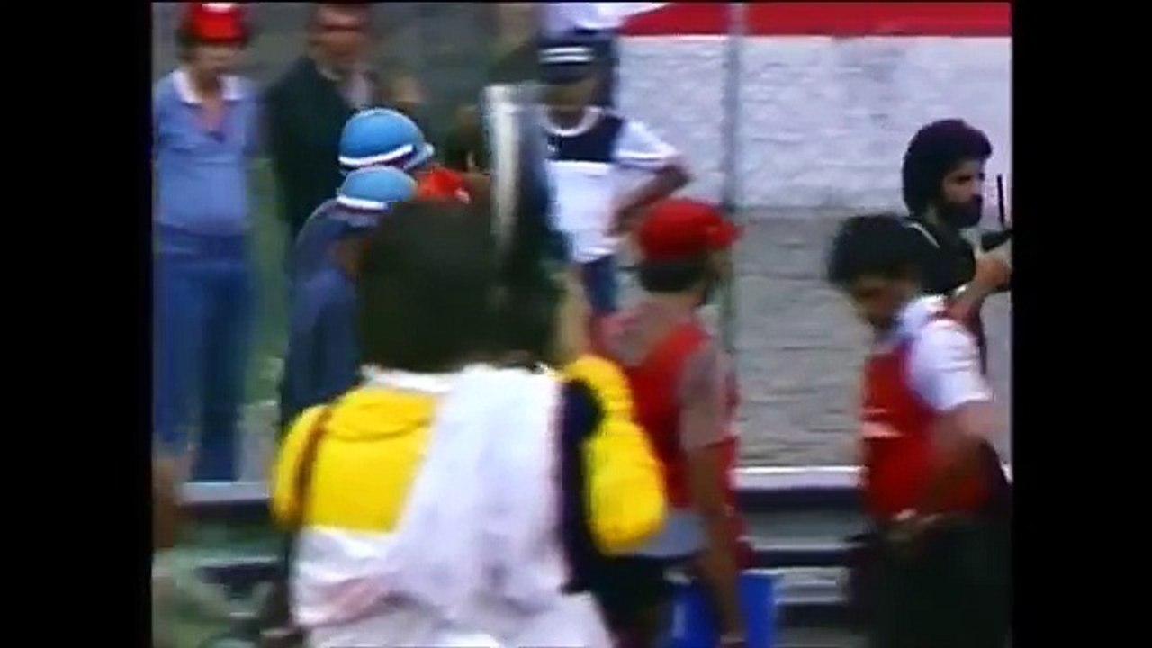 Carlos Reutemann win in Brasil gp 1981 formula 1 by magistar