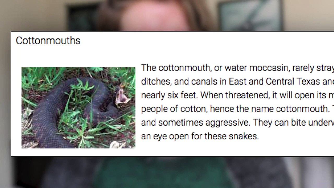 My Bad USAF Experiences (US Air Force)