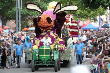 Sélestat: un voyage au pays des dahlias