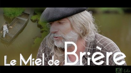 MIEL du RUCHER DES PAYS BLANC