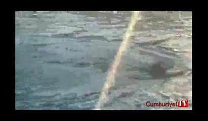 Caretta caretta saldırısı kamerada: 3 defa fotoğraf makinesini ağzına soktum