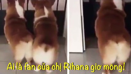 Khoảnh khắc đáng yêu của Boss khi lên sàn