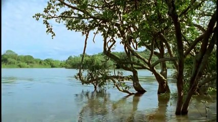 Alexander von Humboldt Documentary