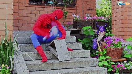 Birthday cake Disaster! w/ Maleficent, Superheroes, Frozen elsa