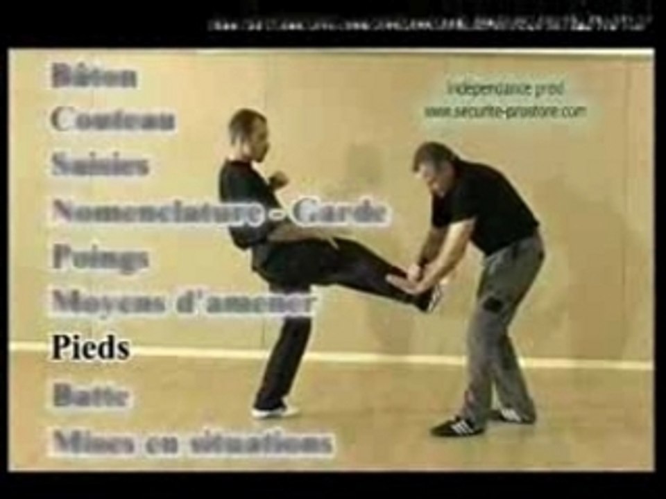 Maitrise du tonfa