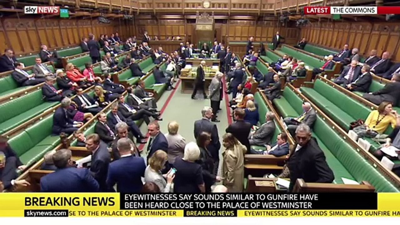 WESTMINSTER TERROR BREAKING COVERAGE: Parliament lockdown after stabbing & vehicle attack