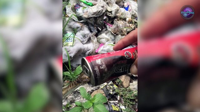 Snake Rescued After Getting Stuck In Drinks Can