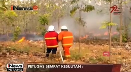 Diduga Akibat Putung Rokok, Lima Hektar Hutan Jati Terbakar