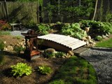 Bonsai trees,fish koi,fountains all design for garden